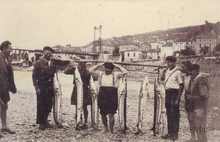 photo en noir et blanc de pêcheurs