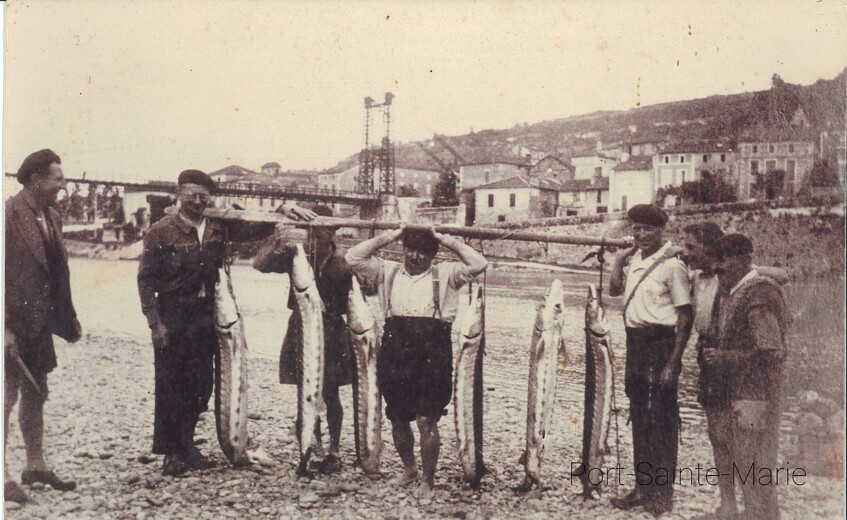 photo en noir et blanc de pêcheurs